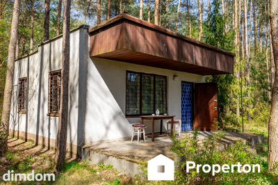Domek w lesie | działka 1527 m² | powiat łask - 5