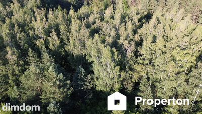 Działka 1214 m² blisko Wkry | Borkowo - 4