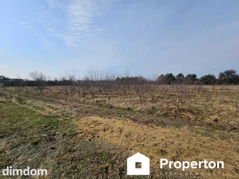 Działka 1500m² Stare Załubice | MPZP i Usługi - 111552574.jpg