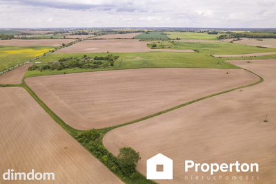 Działka w Cedyni 5,36ha z warunkami zabudowy