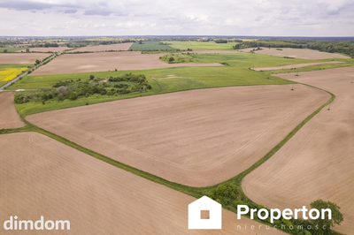 Działka w Cedyni 5,36ha z warunkami zabudowy - 5