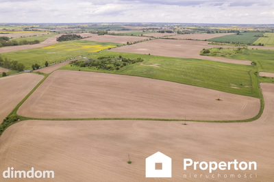 Działka w Cedyni 5,36ha z warunkami zabudowy - 3