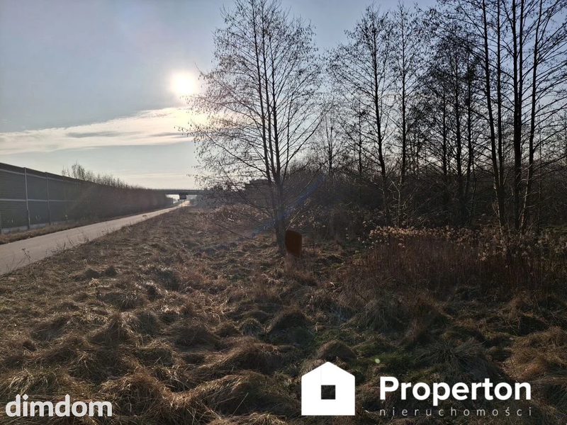 Działka o pow. 8900 m²  Radziejowice-Parcel - 103860561.jpg