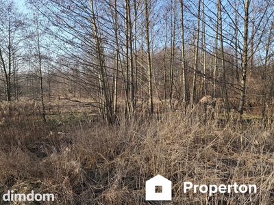 Działka o pow. 8900 m²  Radziejowice-Parcel - 4