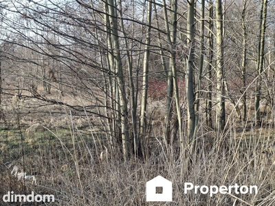 Działka o pow. 8900 m²  Radziejowice-Parcel - 3