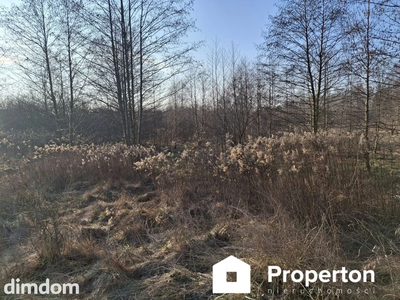 Działka o pow. 8900 m²  Radziejowice-Parcel - 2