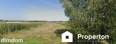 Działka 7001 m² z MPZP | Nowa Pecyna - 3