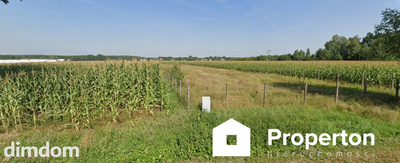 Działka 7001 m² z MPZP | Nowa Pecyna - 2