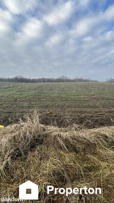 Piękna działka w pobliżu Kazimierza Dolnego - 2