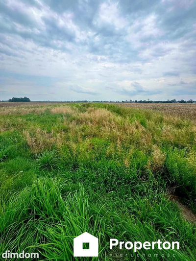 Garwolin 9 166 m² Plan MNU/możliwość podziału - 3
