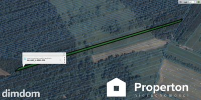 Działka leśna 6400 m²  – Paprotnia, gm. Stężyca - 4