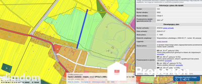 Opole lubelskie działka 6608 m2 budowlano-rolna - 4
