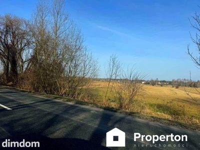Opole Lubelskie – duża działka rolna 4 822 m²