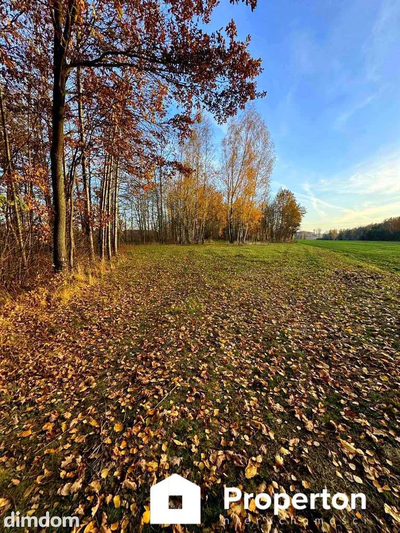 Działka bud-rolna Łomnica/Garwolin -2,47 ha - 4
