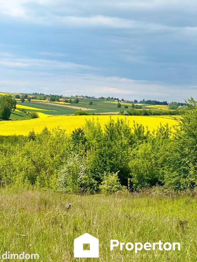 Dom Karwów Opatów 71 m2 działka 3100 m2 cisza - 3