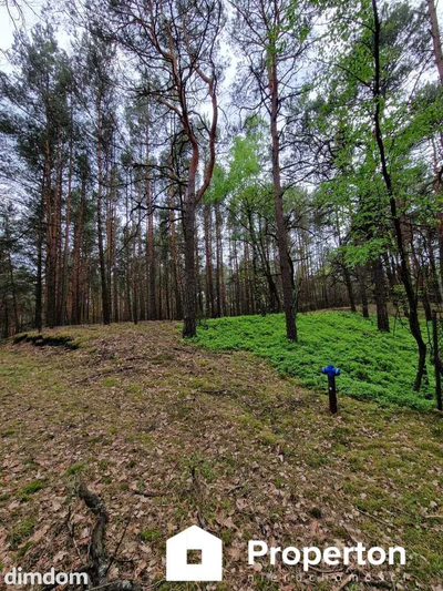 Prywatny azyl blisko Warszawy – działka 900m² - 2