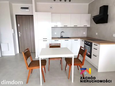 Oferujemy Państwu do wynajęcia 2 (3) pokojowe mieszkanie położone w Zielonej Górze przy ulicy LISIEJ na PARTERZE w budynku z windą - W POBLIŻU CENTRUM MIASTA.