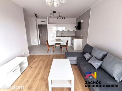 Oferujemy Państwu do wynajęcia 2 (3) pokojowe mieszkanie położone w Zielonej Górze przy ulicy LISIEJ na PARTERZE w budynku z windą - W POBLIŻU CENTRUM MIASTA. - 4