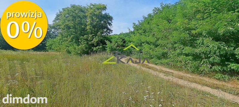 Urokliwie położona działka z lasem i stawem - 111596668.jpg