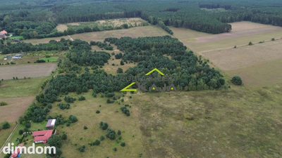 Działka niedaleko Pałacu Bruhla w Brodach