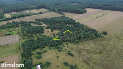 Działka niedaleko Pałacu Bruhla w Brodach - 2