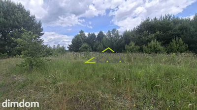 Kosobudz – działki w pobliżu lasu i jezior