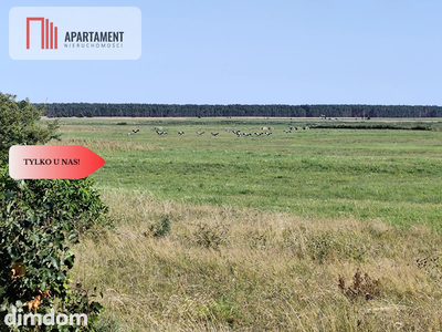 Tylko u Nas! Działka rolna o pow. 3,35 ha. - 3