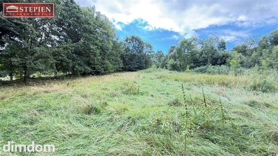 Działka budowlano-usługowa 16MN/UT - Chromiec, 5 000 m² - 3