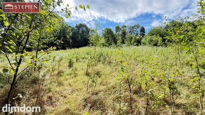 Działka budowlano-usługowa 16MN/UT - Chromiec, 5 000 m² - 4