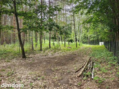 OKAZJA 160zł/m2 Sokolniki- Las - 2