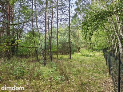 150 zł/m2 w Sokolnikach-Lesie? TAK! - 2