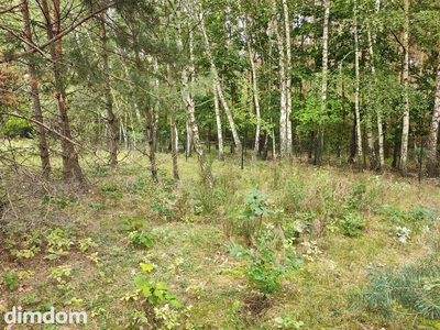 150 zł/m2 w Sokolnikach-Lesie? TAK! - 4