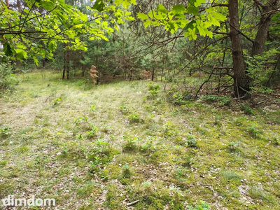 150 zł/m2 w Sokolnikach-Lesie? TAK! - 5