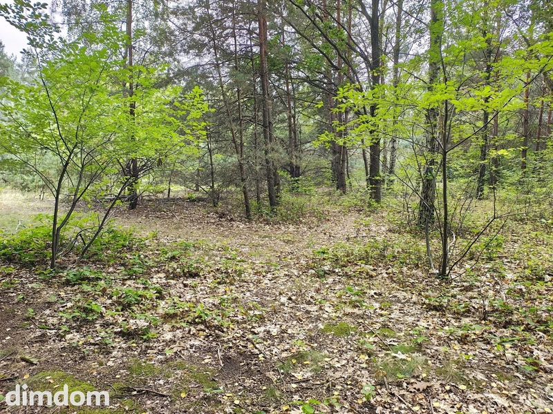 Działka 2442m2 w Sokolnikach-Lesie 150zł/m2 - 114772390.jpg