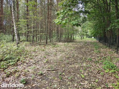 Działka 2442m2 w Sokolnikach-Lesie 150zł/m2 - 3