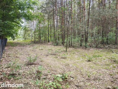 Działka 2442m2 w Sokolnikach-Lesie 150zł/m2 - 4