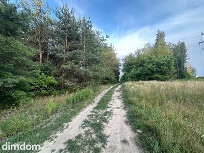 Rosanów, działka 3050m2, z ogromnym potencjałem. - 4