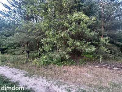 Rosanów, działka 3050m2, z ogromnym potencjałem. - 3