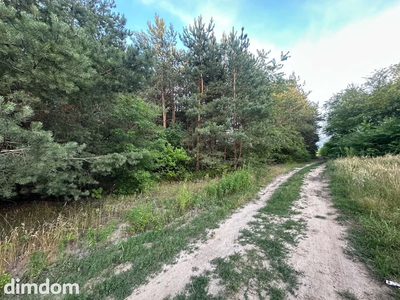 Rosanów, działka 3050m2, z ogromnym potencjałem. - 5