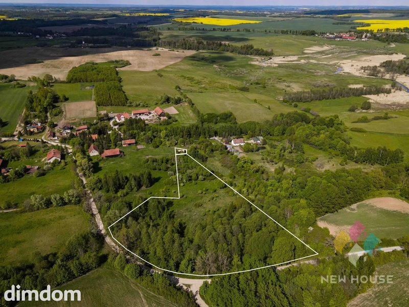 Raciszewo, pakiet 5 działek 4,78 ha - 114778531.jpg