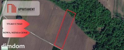 Działka rolna 89 arów pod Wrocławiem | Bogunów | - 4