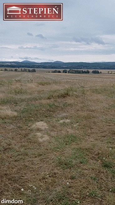 DZIAŁKA NA SPRZEDAŻ - WOLBROMEK KOŁO BOLKOWA - 2