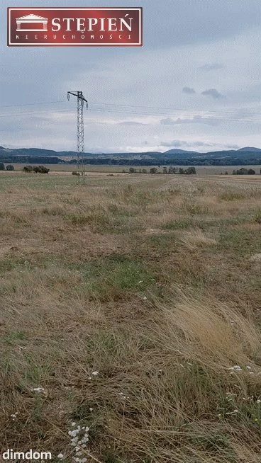 DZIAŁKA NA SPRZEDAŻ - WOLBROMEK KOŁO BOLKOWA - 3