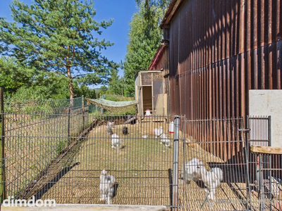 Działka 1.25ha I Prywatny Staw I Ogromny potencjał - 5