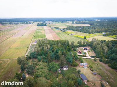 Inny wymiar życia! Zamień hałas na las - 2