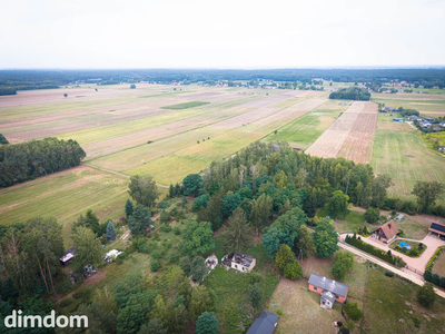 Inny wymiar życia! Zamień hałas na las - 3