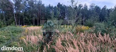 Do sprzedania działka budowlana o powierzchni 2327 m2 w Osowcu koło Grodziska Maz.
