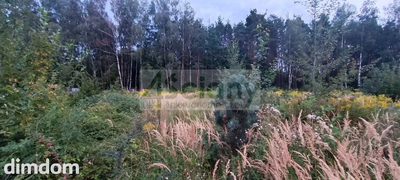 Do sprzedania działka budowlana o powierzchni 2327 m2 w Osowcu koło Grodziska Maz. - 2