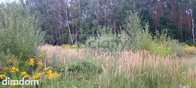 Do sprzedania działka budowlana o powierzchni 2327 m2 w Osowcu koło Grodziska Maz. - 3