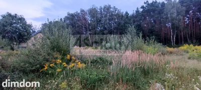 Do sprzedania działka budowlana o powierzchni 2327 m2 w Osowcu koło Grodziska Maz. - 4